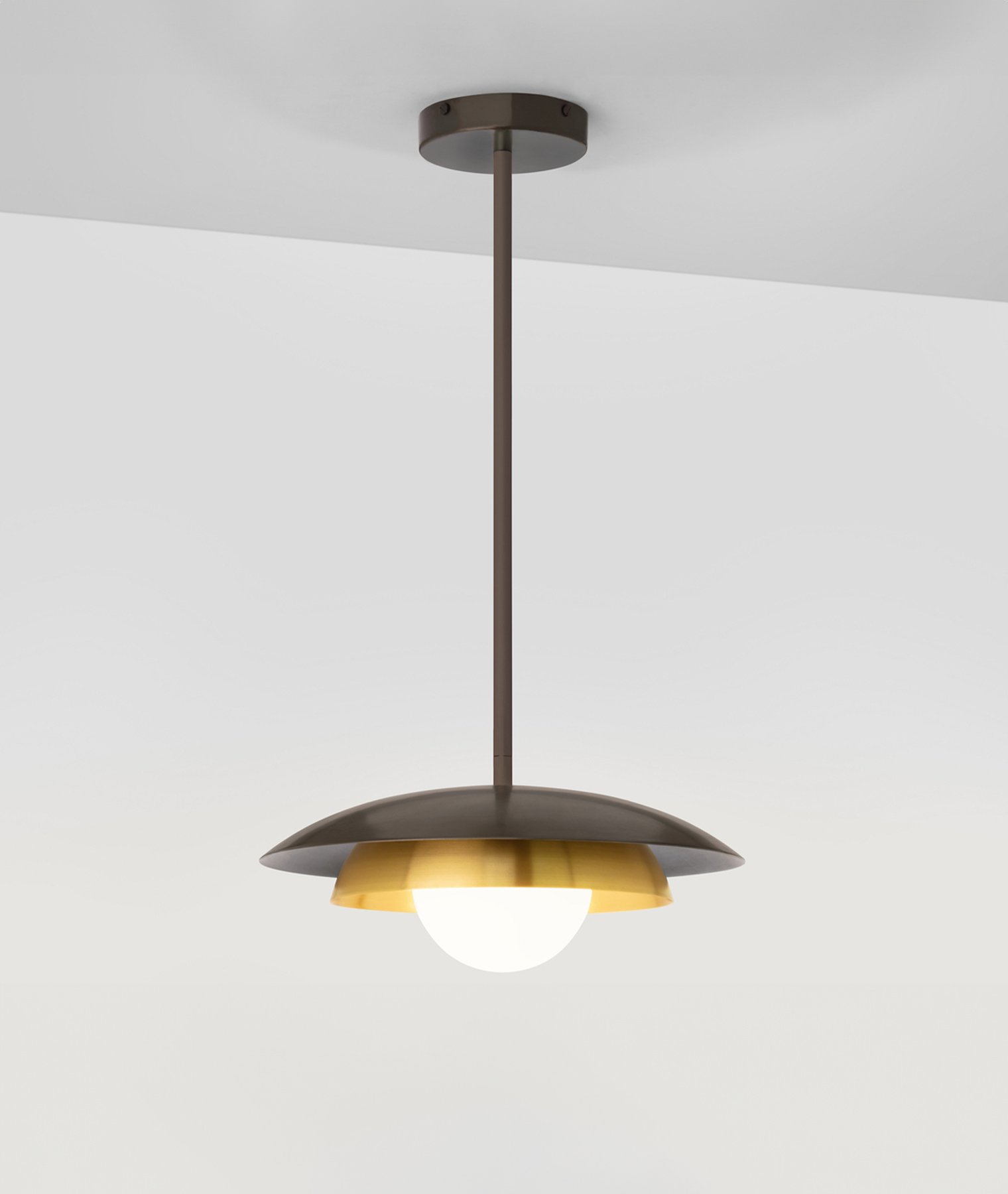 Carapace Rod Pendant