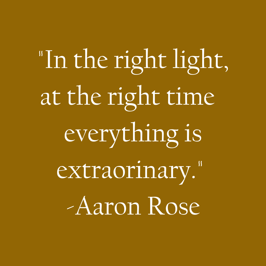 In the right light, at the right time everything is extraorinary -Aaron Rose